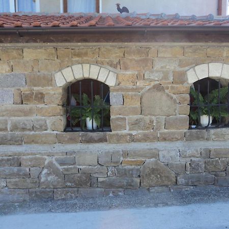 Guest House Drazhev Obzor Bagian luar foto