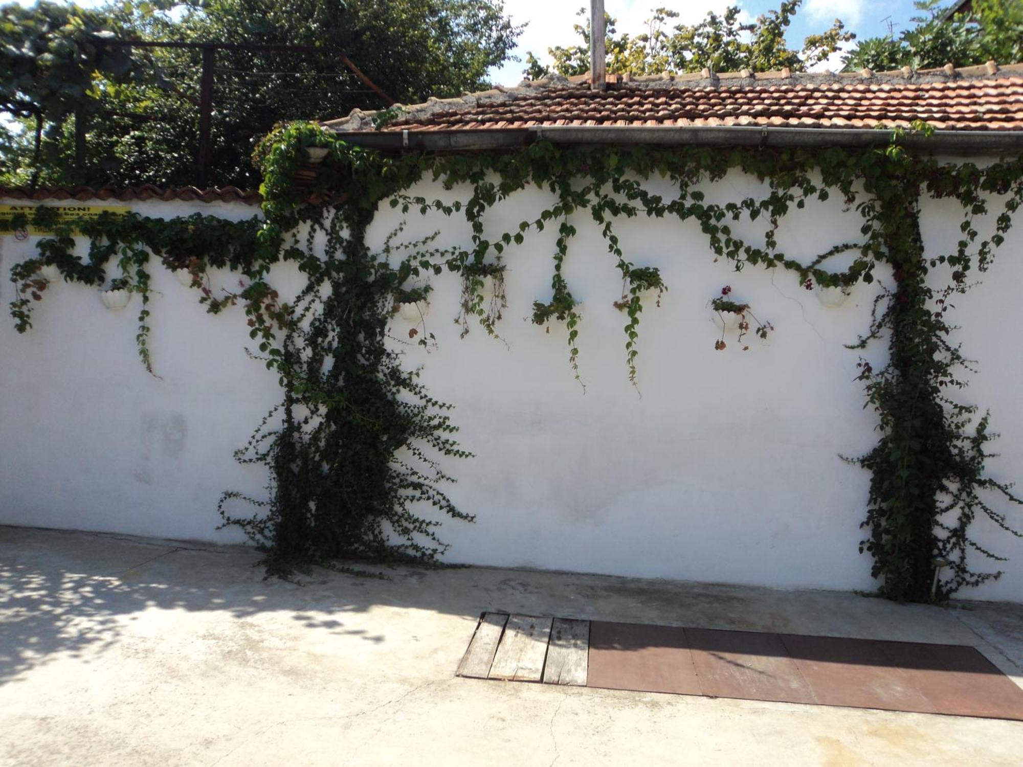 Guest House Drazhev Obzor Bagian luar foto